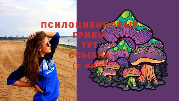 2c-b Бугульма