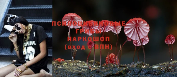 mix Бородино