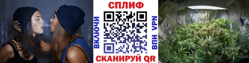 Бошки марихуана Amnesia  купить наркотик  Барнаул 